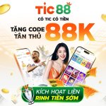 photo_2025-11-15 11.04.57.jpeg